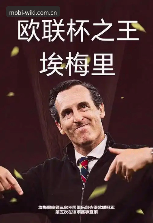 维基体育安卓下载 揭秘埃梅里欧联杯五冠王背后的真相:维拉终结30年冠军荒的战术革命